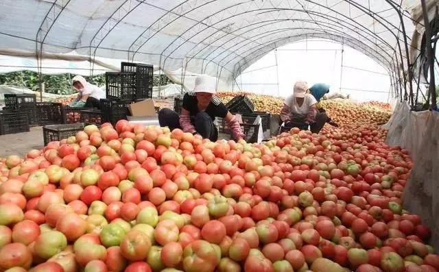 整頓大棚房成了一刀切的代名詞，斷水?dāng)嚯姶u瓦不留，拆成了荒蕪！