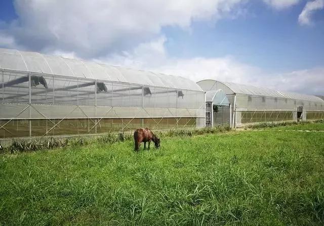 整頓大棚房成了一刀切的代名詞，斷水?dāng)嚯姶u瓦不留，拆成了荒蕪！